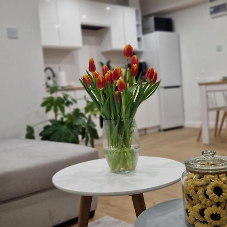 Apartament Na Skalkach Jelenia Góra Buitenkant foto