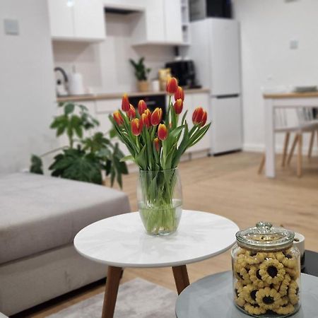Apartament Na Skalkach Jelenia Góra Buitenkant foto