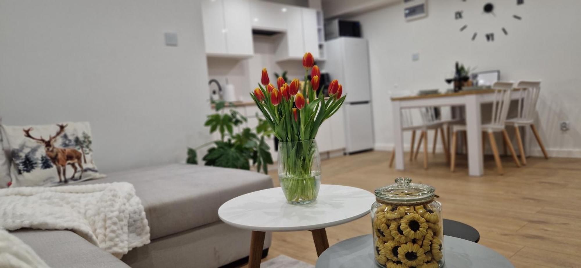 Apartament Na Skalkach Jelenia Góra Buitenkant foto