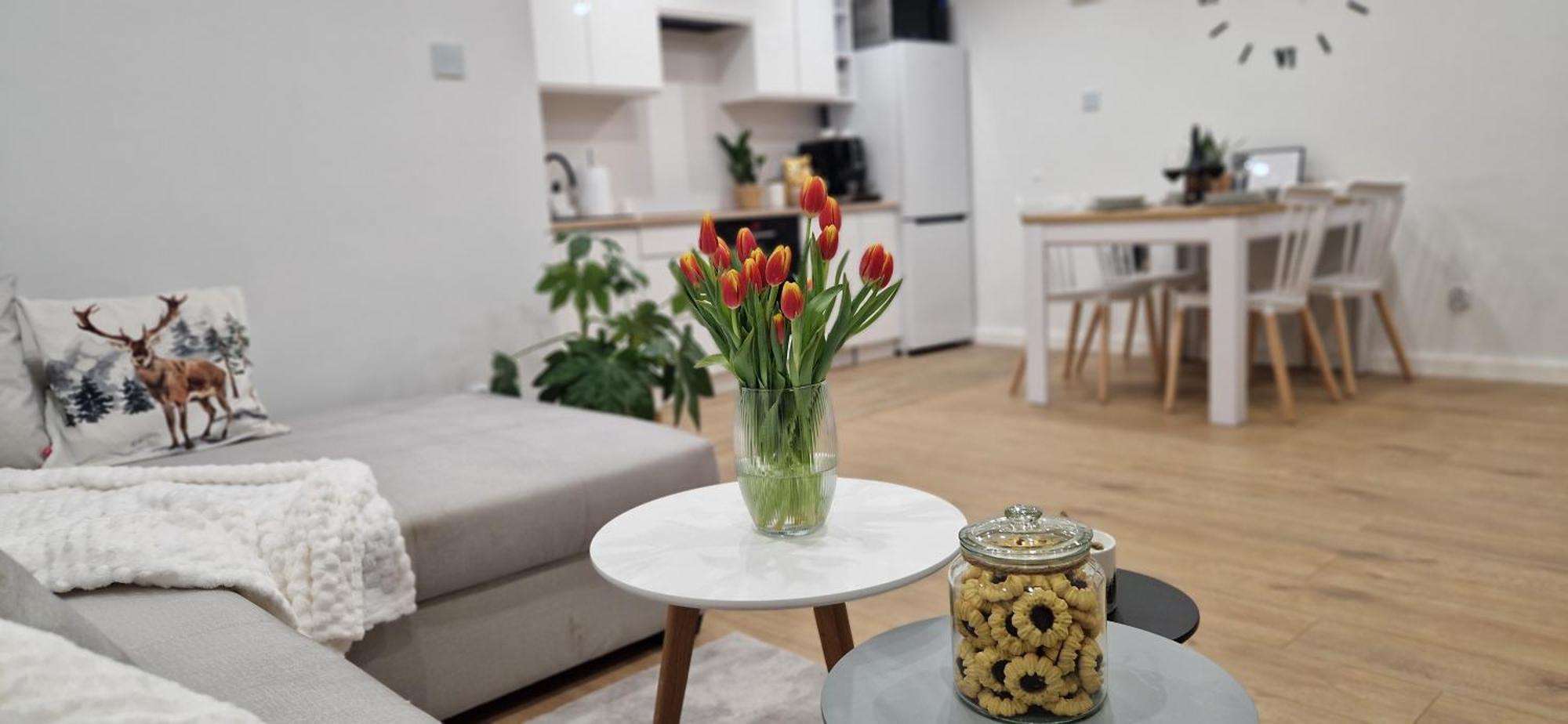 Apartament Na Skalkach Jelenia Góra Buitenkant foto